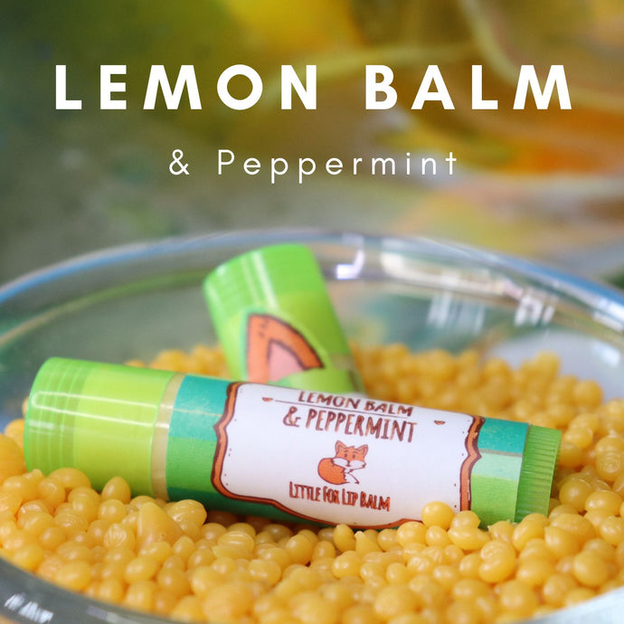 Lemon Balm and Peppermint